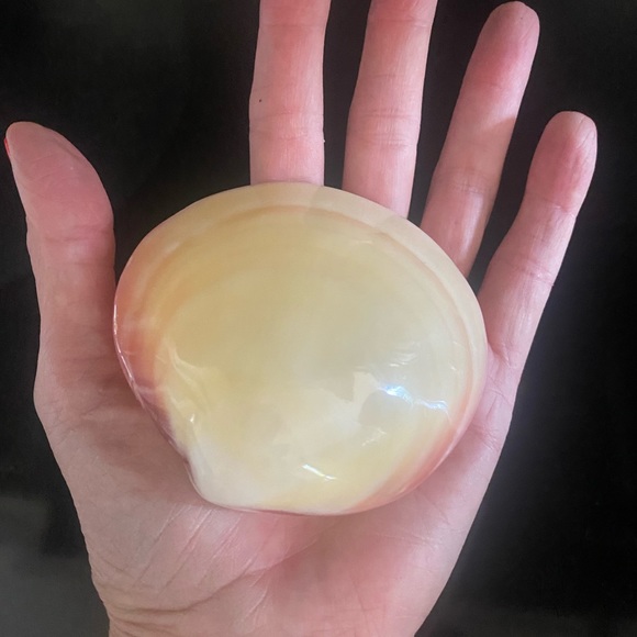 Porcelain Lava Shells For hot shell massage NOUVEAU COQUILLAGE POUR MASSAGE - Picture 3 of 8